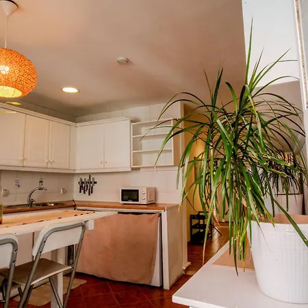 Cozy Private With Patio Apartment